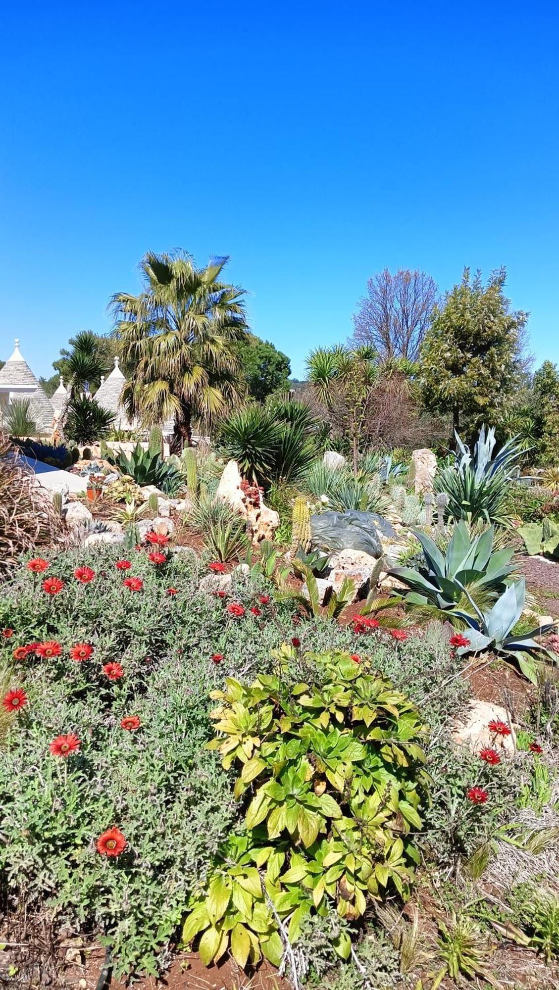 Trullo Bosco Libero Ostuni Villa Exterior photo